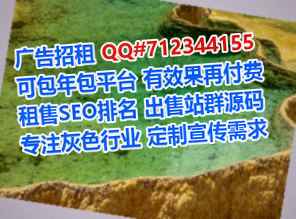 丰镇代母互联网有限公司